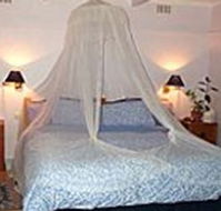 Bondi Beach Garden Sweet - Hervey Bay Accommodation