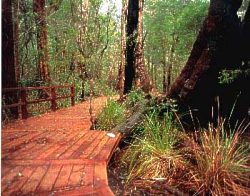 Coalmine Beach Holiday Park - Hervey Bay Accommodation 3