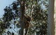 Bush Haven - thumb 1