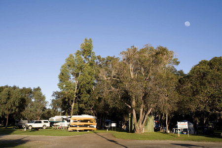 Molloy Caravan Park - Hervey Bay Accommodation 1