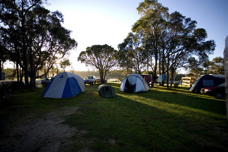 Molloy Caravan Park - Hervey Bay Accommodation 2