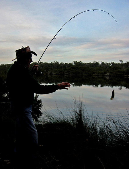 Molloy Caravan Park - Hervey Bay Accommodation 5