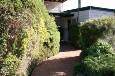 Riverside Cabin Park - Hervey Bay Accommodation 3