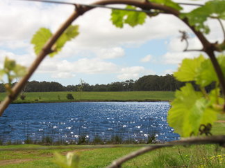 Bettenays Lakeside Loft Apartment And Vineyard Chalets - Hervey Bay Accommodation 0