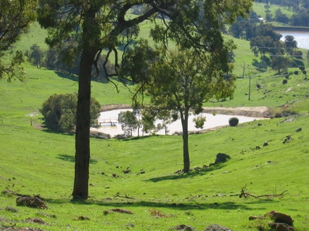 Vista Ridge Estate - Top Paddock Cottage - Tourism Hervey Bay 3