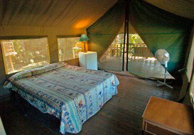 Lions Den Hotel - Hervey Bay Accommodation 0