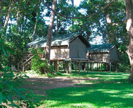 Lions Den Hotel - Hervey Bay Accommodation 3