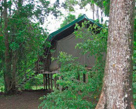 Lions Den Hotel - Hervey Bay Accommodation 4