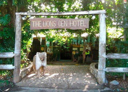Lions Den Hotel - Hervey Bay Accommodation 5