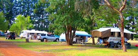 Fontys Pool Caravan Park - Hervey Bay Accommodation 1