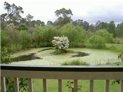 Moss Brook Bed And Breakfast - Hervey Bay Accommodation 1