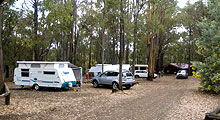 Lake Navarino Holiday Park - Hervey Bay Accommodation 3