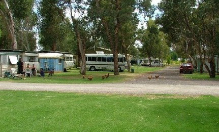 Harvey Rainbow Caravan Park - Tourism Hervey Bay 0