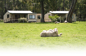 Cambray Cottages - Hervey Bay Accommodation 1