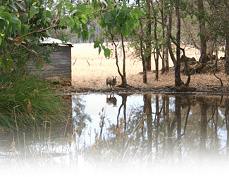 Cambray Cottages - Hervey Bay Accommodation 3