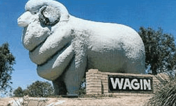 Wagin Motel - Hervey Bay Accommodation