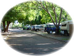 Town Caravan Park - Hervey Bay Accommodation 5