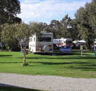 Pinjarra Caravan Park - Hervey Bay Accommodation