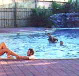 Shark Bay Caravan Park - Hervey Bay Accommodation