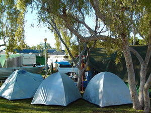 Ningaloo Caravan And Holiday Resort - Hervey Bay Accommodation 2