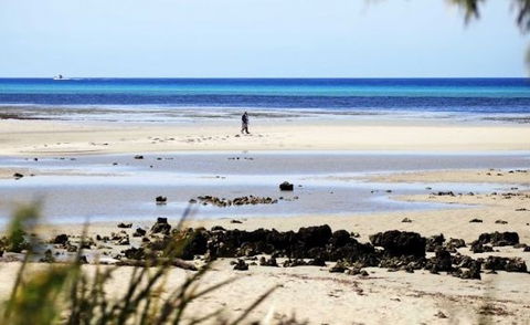 Halcyon Bay - Hervey Bay Accommodation 5