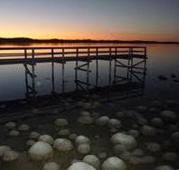 Lake Clifton Caravan Park - Hervey Bay Accommodation