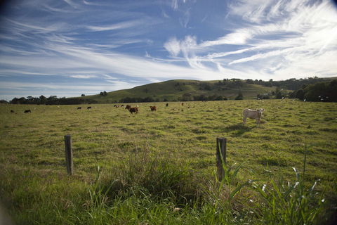 Annas Retreat - Hervey Bay Accommodation 0
