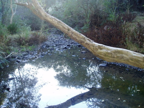 Barkeldine Farm Country Retreat - Hervey Bay Accommodation 1