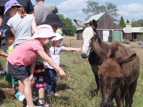 Barkeldine Farm Country Retreat - Hervey Bay Accommodation 2