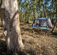 Boomeri campground - Hervey Bay Accommodation
