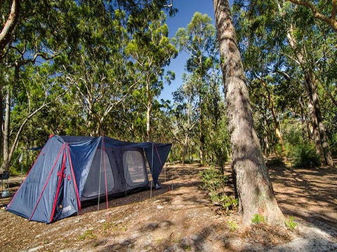 Boomeri Campground - Hervey Bay Accommodation 1