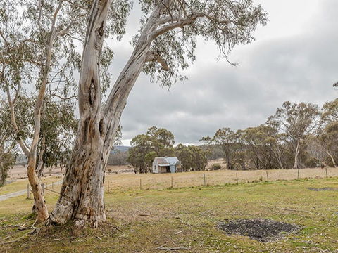 Cooinbil Hut Campground - Hervey Bay Accommodation 2