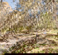 Coree campground - Tourism Hervey Bay