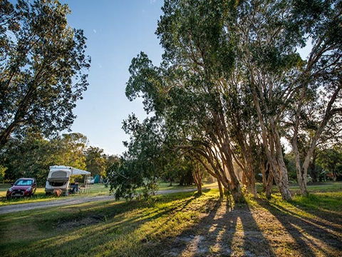 Delicate Campground - Hervey Bay Accommodation 0