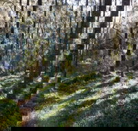 Deua River campgrounds - Hervey Bay Accommodation