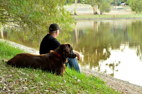 Diamond Forest Farm Stay - Hervey Bay Accommodation 2