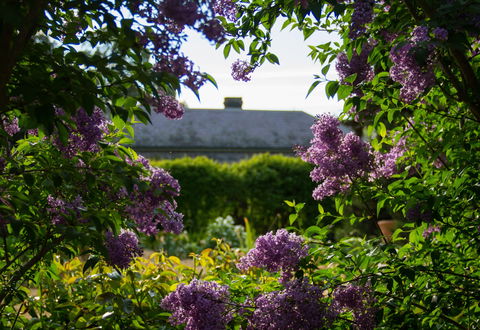 Eurambeen Historic Homestead And Gardens - Tourism Hervey Bay 1