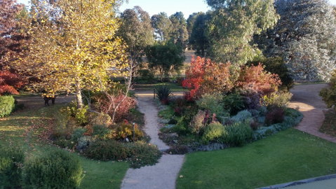 Glenhope Alpacas Bed And Breakfast - Hervey Bay Accommodation 0