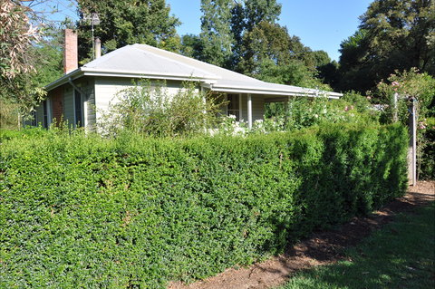 Honeysuckle Cottage - Hervey Bay Accommodation 1