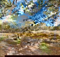 Kings Plains Creek campground - Hervey Bay Accommodation