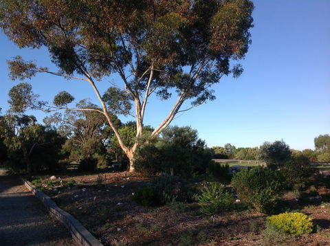 Murray Bridge Motor Inn - Hervey Bay Accommodation 2