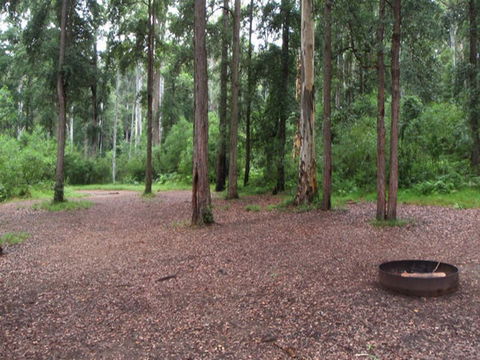 Murphys Glen Campground - Hervey Bay Accommodation 0