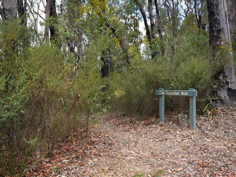 Murphys Glen Campground - Hervey Bay Accommodation 2