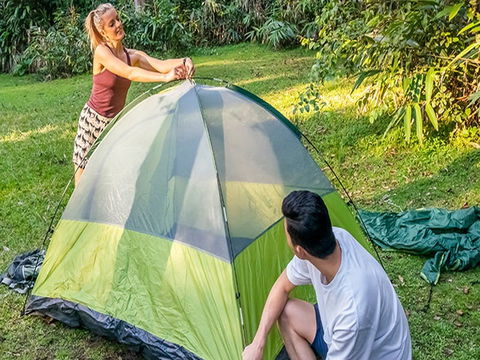 Native Dog Campground - Hervey Bay Accommodation 0