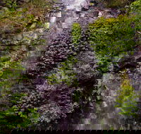 Nimbin Waterfall Retreat - Hervey Bay Accommodation