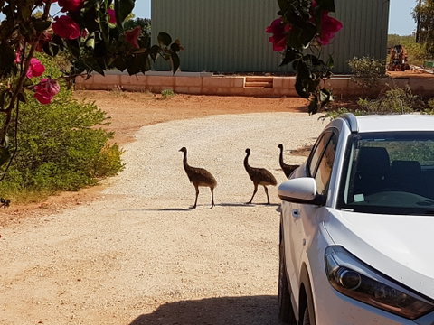 Ningaloo Bed And Breakfast - Hervey Bay Accommodation 1