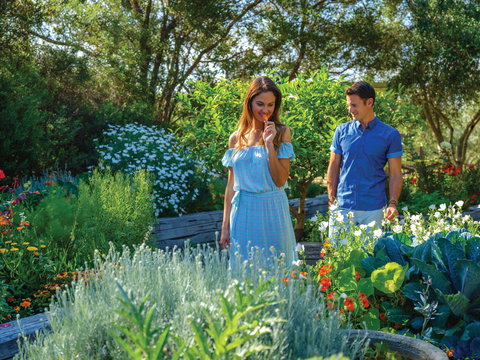 Olio Bello Lakeside Glamping - Hervey Bay Accommodation 1