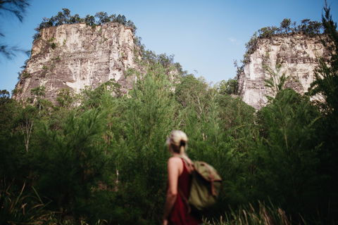 Sandstone Park Carnarvon Gorge - Hervey Bay Accommodation 0