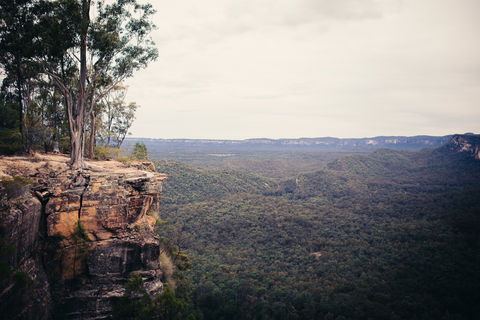 Sandstone Park Carnarvon Gorge - Hervey Bay Accommodation 1