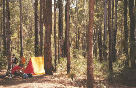 Stringers Camp At Lane Poole Reserve - Hervey Bay Accommodation 1